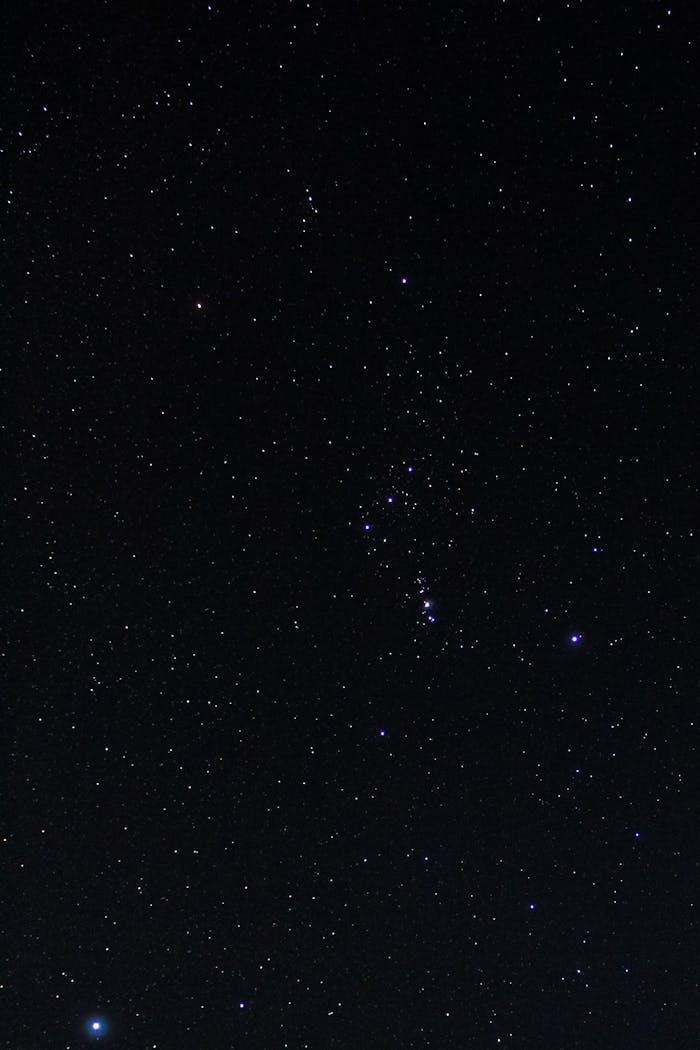 A captivating view of the Orion constellation in a star-filled night sky.